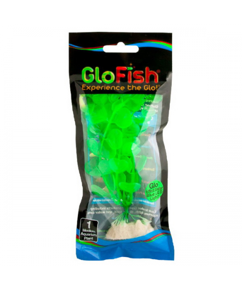 Растение флуоресцирующее GloFish М 15см зеленое