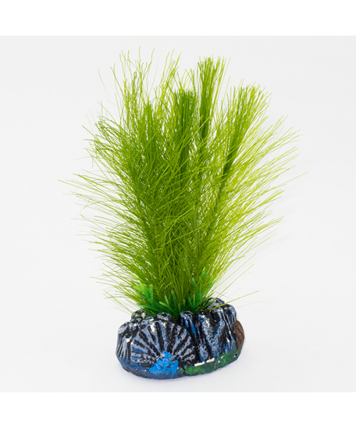 Растение аквариумное шелк.13см зеленое 1321