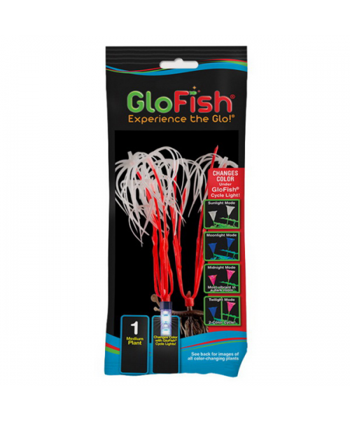 Растение флуоресцирующее GloFish М 21см оранжевое