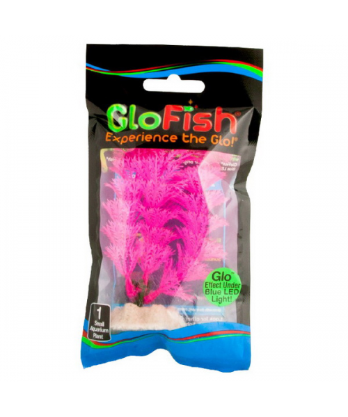 Растение флуоресцирующее GloFish S 13см розовое