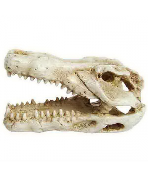 Декорация пласт Prime Череп  крокодила мини 7,5*4,5*4,5 см
